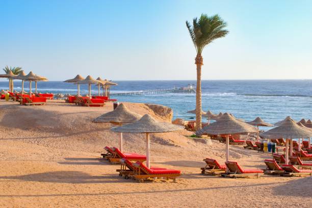 Idylic beach with sun umbrelas, Red Sea, Egypt